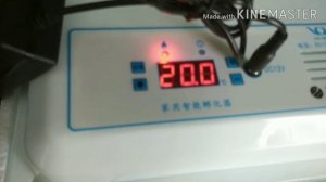 Инкубатор на 50 яиц  с AliExpress.  Incunator 50egg