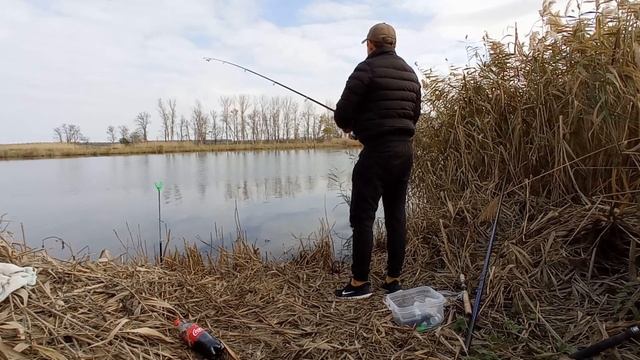 Рыбалка в Ноябре ! Ловля огромного карася ! Кубань смотреть онлайн