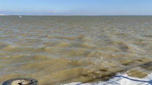 На пляжи Ейской косы больше не ездят туристы.