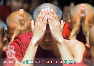 «ВКУС ИСТИНЫ» — о буддизме в современном мире