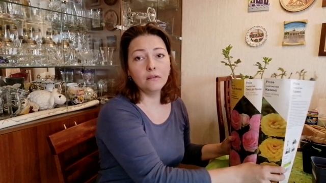 РАСТЕНИЯ И ЦЕНЫ В ЛЕРУА МЕРЛЕН 2023 | МОИ ПОКУПКИ | как сохранить саженцы до посадки смотреть онлайн