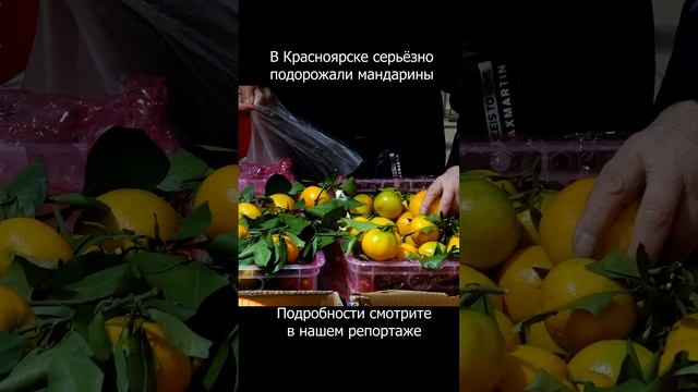 А вы заметили рост цен на новогодние цитрусовые? #красноярск