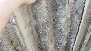 Удобная компостная куча - бесплатно/Новая Жизнь.mp4