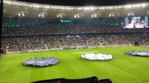 Вперёд, БЫКИ! Бейтесь, БЫКИ! ФК Краснодар. Каждый матч - потрясающее ШОУ!!!