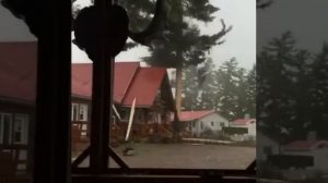 Удар молнии. Что станет с деревом после этого