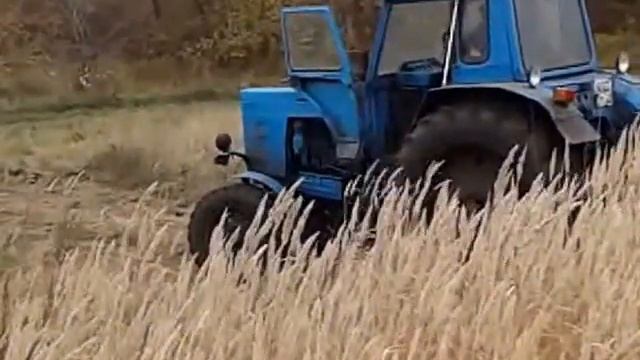 Мтз 80