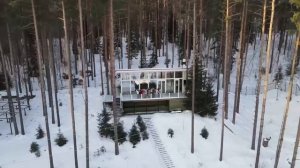 С высоты птичьего полета