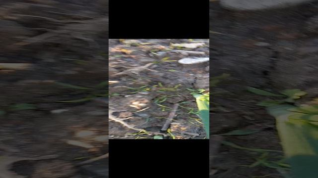 1000008218.mp4