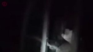 12 СТРАШНЫХ РОЛИКОВ ОТ КОТОРЫХ ТЫ ОФИГЕЕШЬ ПОПРОБУЙ НЕ ИСПУГАТЬСЯ ЕСЛИ СМОЖЕШЬ