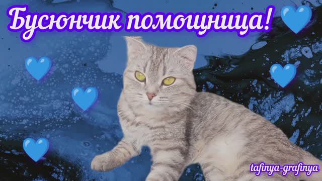 Видео 48. 😻 Бусюнчик помощница во всем ! 🤗Без нее ,мы бы не справились 😻❤️
