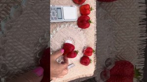 Земляника садовая Надя (Nadja BL29)🍓🌟🎊. Часть 2🤩