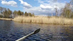 база отдыха ПОДВОРЬЕ #ресурсные_прогулки_да