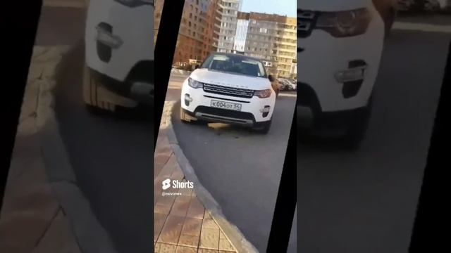 все самые лучшие видео за всю историю канала смотреть онлайн