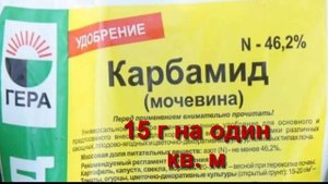 Как правильно посадить малину? Чем подкармливать растения?