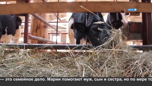 Поддержка фермеров