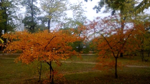 Песня осени в моем городе смотреть онлайн