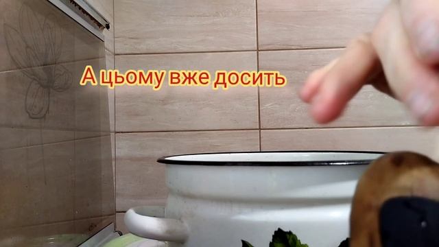 Як приготувати квашені баклажани на зиму (і не лише). Простий рецепт смачної  страви
