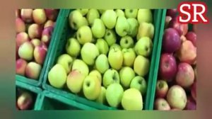 СЕБ БА ИНСОН ЧИ ФОИДА ДОРАД. БА ДАРДАТ ДАВО БИҶУЙ. КАНЗИ ШИФО