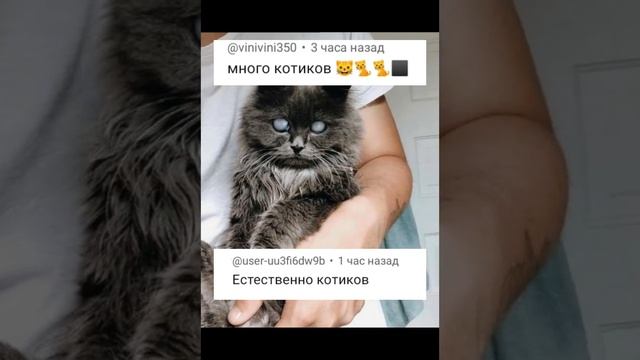 что подарить девочке?? пишите в комментарии свои идеи, попадёте в видео