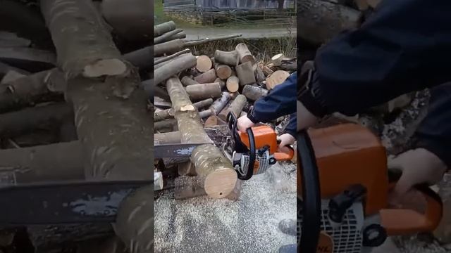 STIHL - MS 250 в роботі