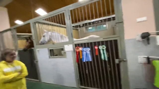 Конно Спортивный Комплекс , Богатые Сабы , очень красивые. смотреть онлайн