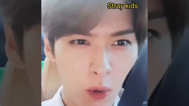 фанатка предложил ему жениться на ней Лино Ли Минхо Stray Kids он такой милый когда отвечает смотреть онлайн