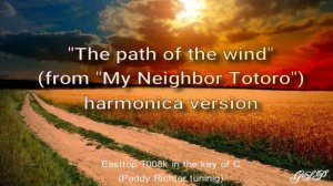 "The path of the wind" (from ''My neighbor Totoro"). Версия для губной гармоники.