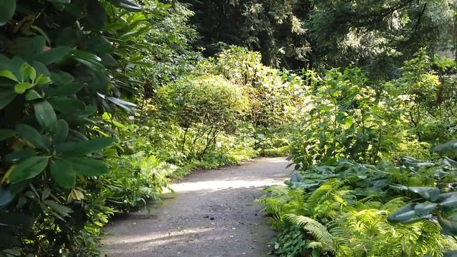 Грех прощение и возвращение к источнику Арктурианский Совет 9 D через Даниэля Скрэнтона смотреть онлайн