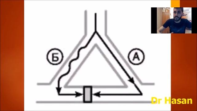 Повторный вход волны возбуждения (re-entry) смотреть онлайн