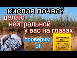 Как раскислить почву//ДО и ПОСЛЕ//Старый бабушкин способ доступен каждому