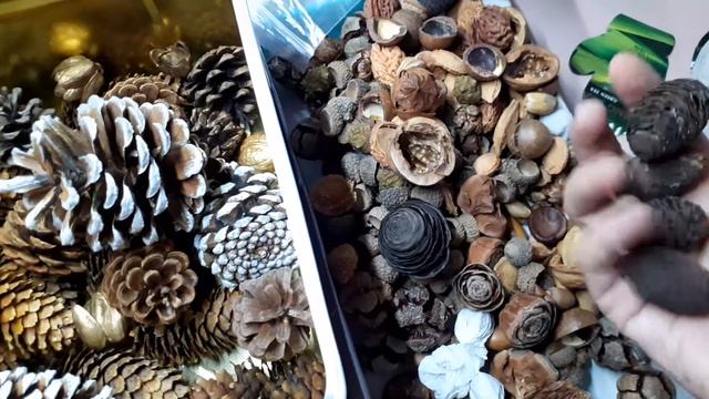 9 ноября 2021 г. Красивые шишки и природные материалы. смотреть онлайн