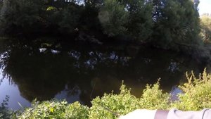 Десна, микроколебалки, щучки на перекатах.mp4