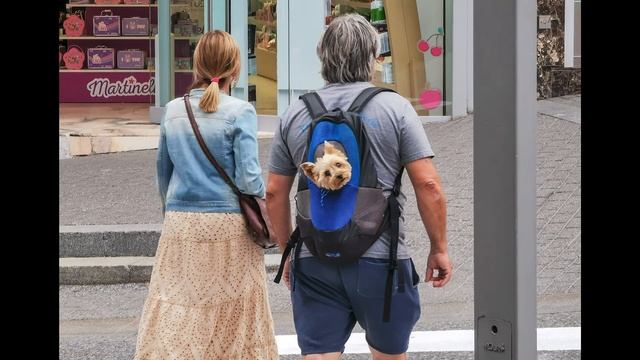 Как фотографировать людей телефоном. Стрит фотография смотреть онлайн