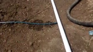 Испытания Лейфлет - капельный полив полей.