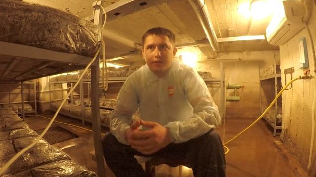 Выращивание Шампиньонов В Домашних Условиях. Компост смотреть онлайн