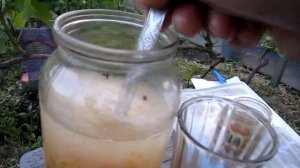 Живое удобрение для подкормки по листу винограда