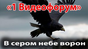 В сером небе ворон