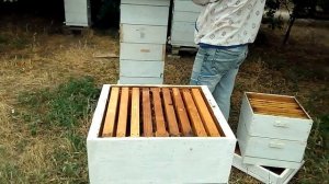 Карника тройзек 1075.Кружка пчелы-ведро мёда.