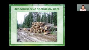 Окружающий мир 4 класс 12-13 недели. Зона лесов