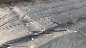 Весь огород в агроволокно, травы не будет