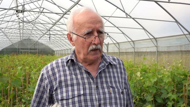 На экоферме «Виноградная лоза» в деревне Акатово провели экскурсию