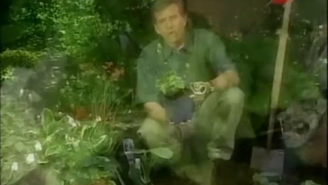 Садоводство Эпизод 05 смотреть онлайн