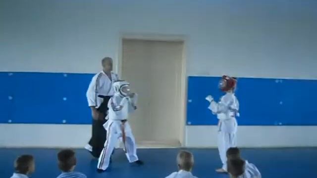 Семинар по Косики каратэ Киев смотреть онлайн