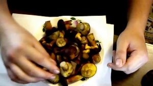 Польский гриб