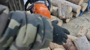 Бензопила Stihl MS 462 и распил дерева на дрова / Chainsaw Stihl MS 462 cut firewood