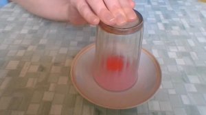 Простые опыты и эксперименты для детей дошкольников и младших школьников 4-8 лет