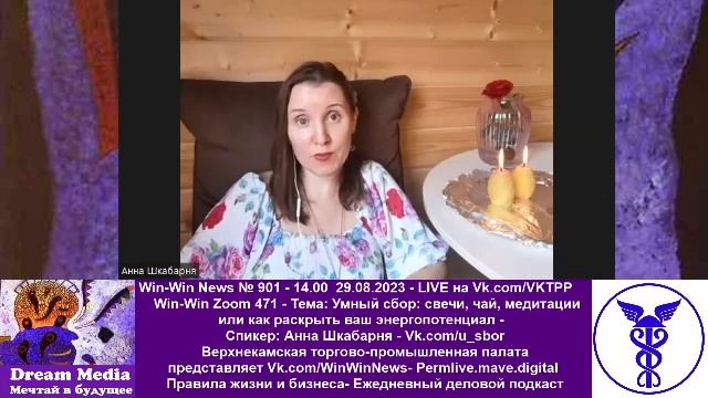 Умный сбор: свечи, чай, медитации или как раскрыть ваш энергопотенциал - Анна Шкабарня