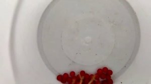 Торговля на Трассе. Подъехала Крутая машина и на этом торговля закончилась.