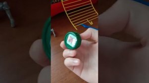 Какие игрушка можно сделать для хомяка и вкусняшка для хомяка