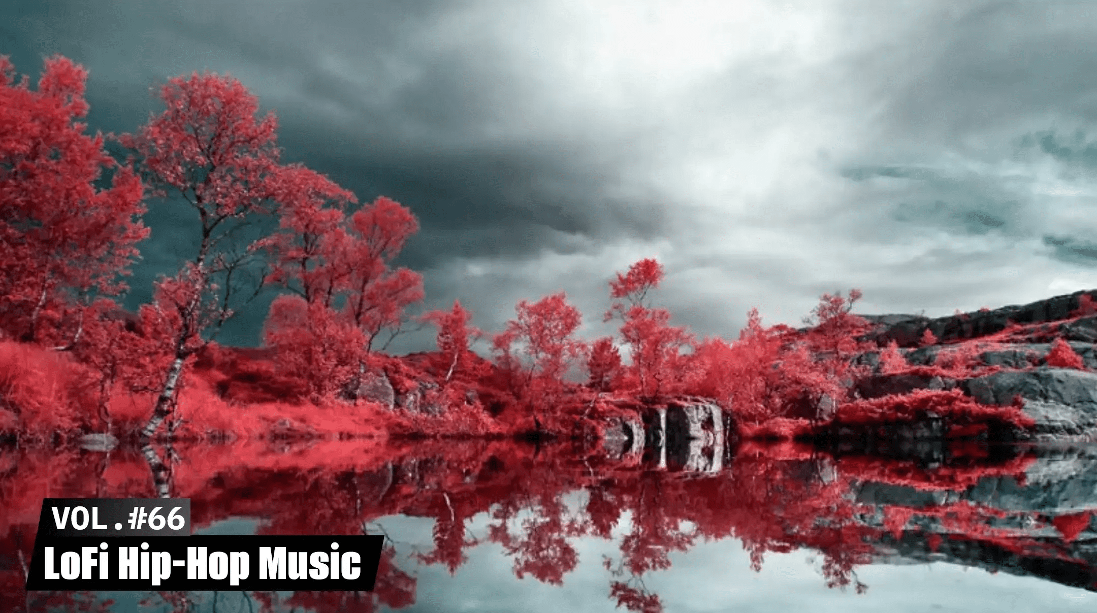 Infrared. Kodak Aerochrome. Инфракрасная съемка. Съемка в инфракрасном спектре. Инфракрасная съёмка пейзажи.